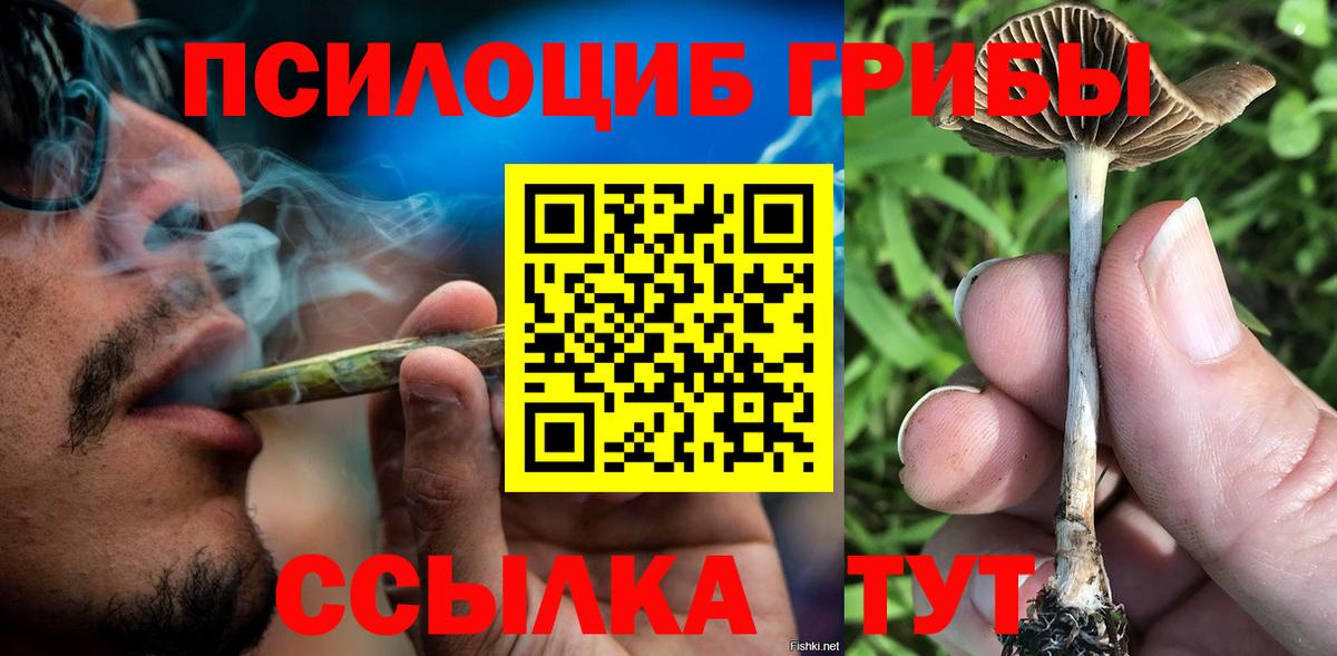 Кириши  Галлюциногенные грибы Psilocybe  Вход с VPN 