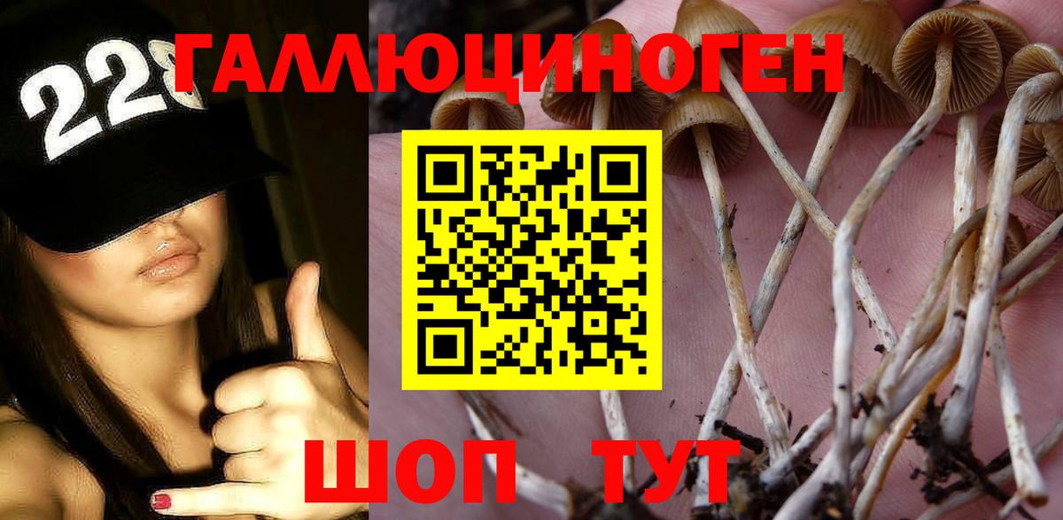 Галлюциногенные грибы MAGIC MUSHROOMS Кириши